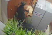 В Киргизии арестовали сотрудницу Русского дома. Ее подозревают в вербовке наемников для других государств