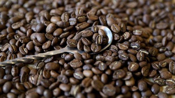 В компании Stellar Beans рассказали о влиянии санкций на поставки кофе в Россию
